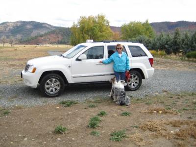 2008_jeep.jpg