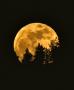 Supermoon
