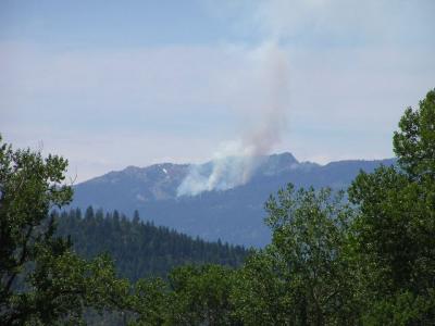 scott_valley_fire.jpg