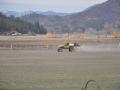 Spraying for weeds